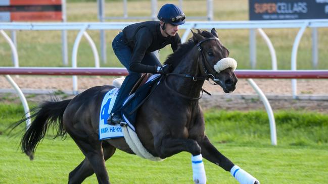 Away He Goes is out of the Melbourne Cup with a tendon injury. Picture: Racing Photos via Getty Images