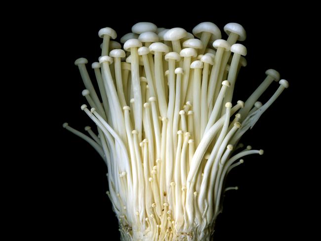 EMBARGO FOR TWAM 3 APRIL 2021 FEE APPLIES Pic : Getty ImagesEnokitake are long, thin white mushrooms