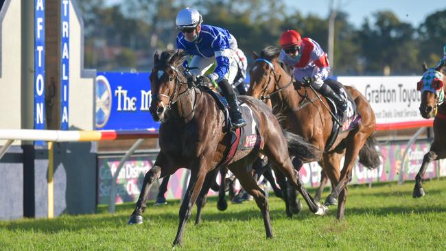 Tamilaide wins the Grafton Guineas for 2021 for trainer Les Kelly. Photo: Adam Hourigan