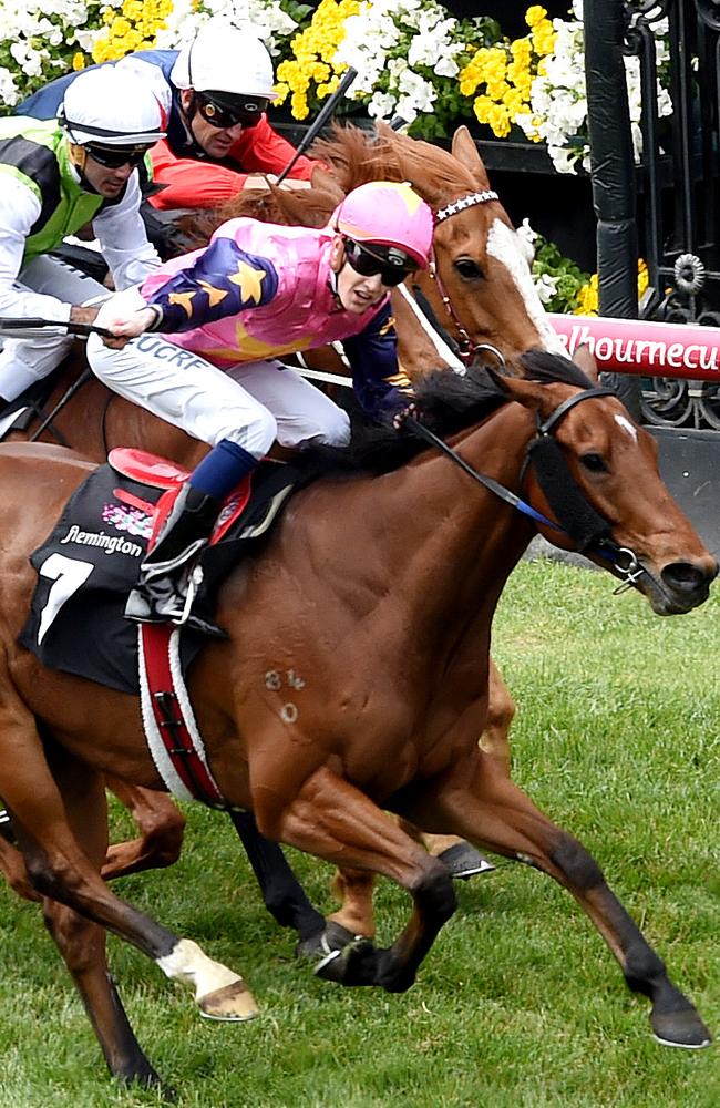 Chad Scholfield combines with De Little Engine to take out the J.B. Cummings AM Tribute Plate at Flemington last year. Picture: Nicole Garmston