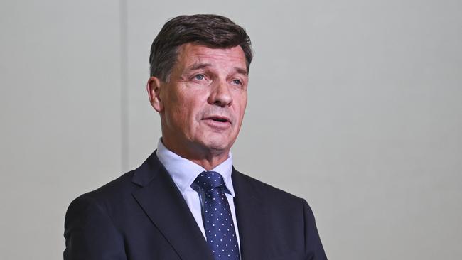 Coalition treasury spokesman Angus Taylor says Labor is trying to blame others for its spending. Picture: NewsWire / Martin Ollman