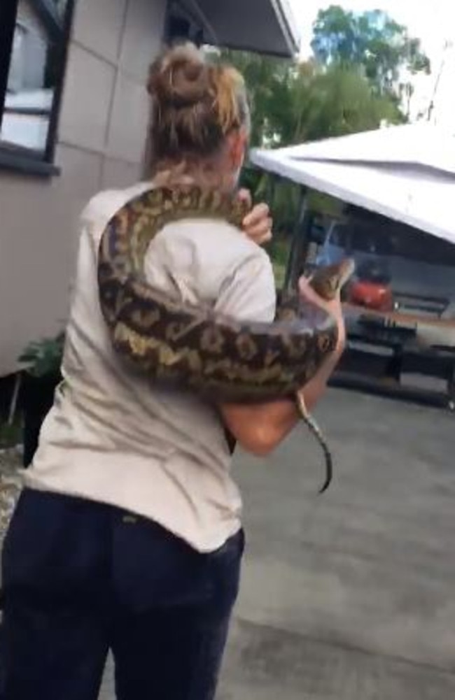 Off to pick up her daughter: Brydie heads off with her slippery passenger. Picture: Facebook/Brydie Maro