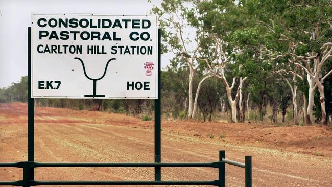 Northern gem: Consolidated Pastoral Co’s Carlton Hill Station.