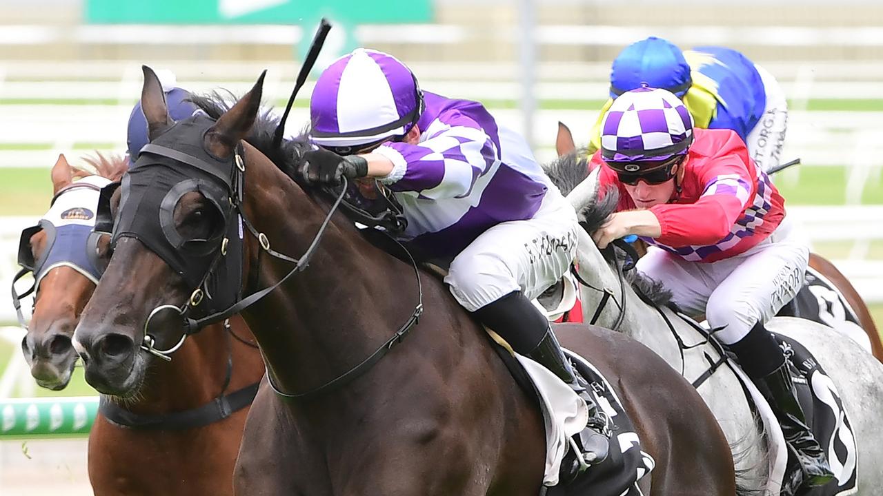 Stable veteran Ef Troop is looking to wind back the clock at Rockhampton. Picture: Grant Peters — Trackside Photography.