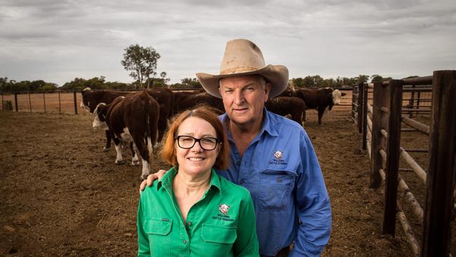 Jackie and Tony Williams with some of their bulls at Mount Barry Station, Coober Pedy. Picture: Matt Turner.