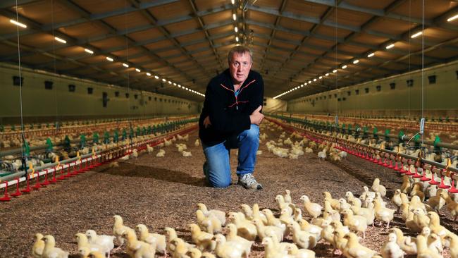 Not industrial: Chicken grower Allan Bullen says the EPA must back down on its call to define chicken and other animal manures as industrial waste. Picture: Aaron Francis