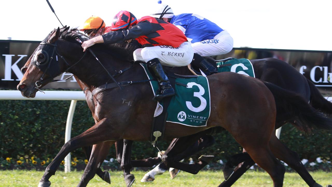 Nicochet looks a good each-way chance at Warwick Farm. Picture: Grant Guy