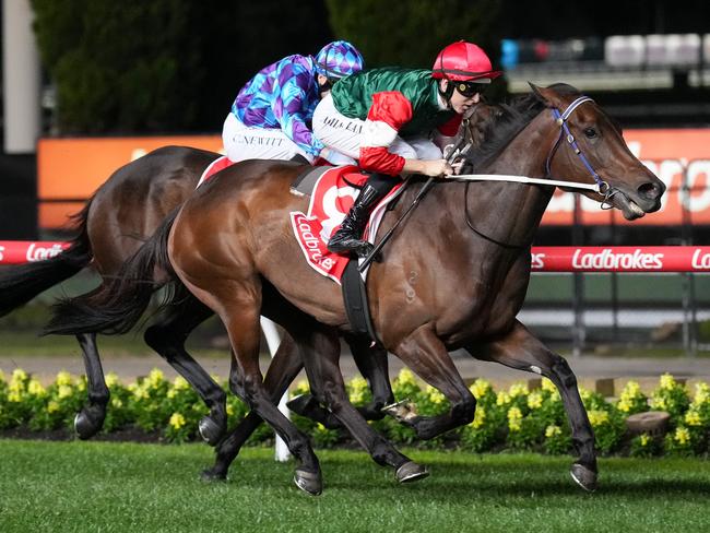Amelia's Jewel ridden by Damian Lane wins the Ladbrokes Stocks Stakes at Moonee Valley Racecourse on September 29, 2023 in Moonee Ponds, Australia. (Photo by Pat Scala/Racing Photos via Getty Images)