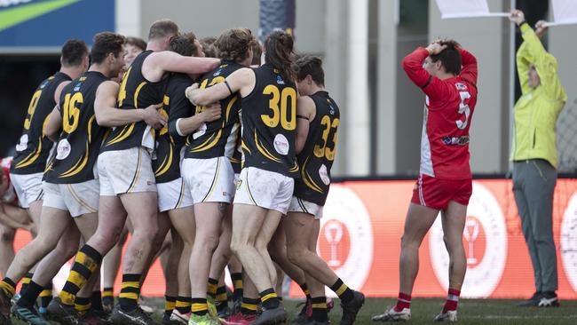 Tigers players celebrate their round 19 win on the final siren against Clarence at Blundstone Arena. Picture: Chris Kidd