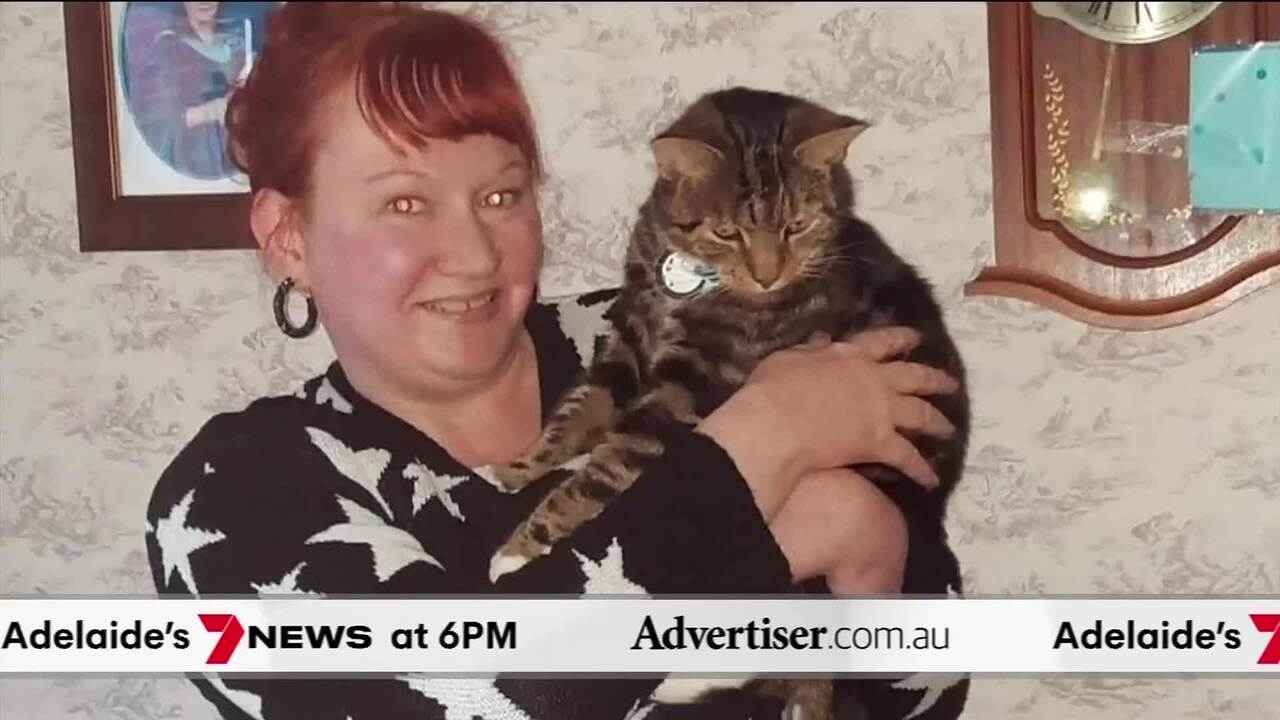 The Advertiser, 7NEWS Adelaide: Tougher laws for SA public transport, dog on O-Bahn
