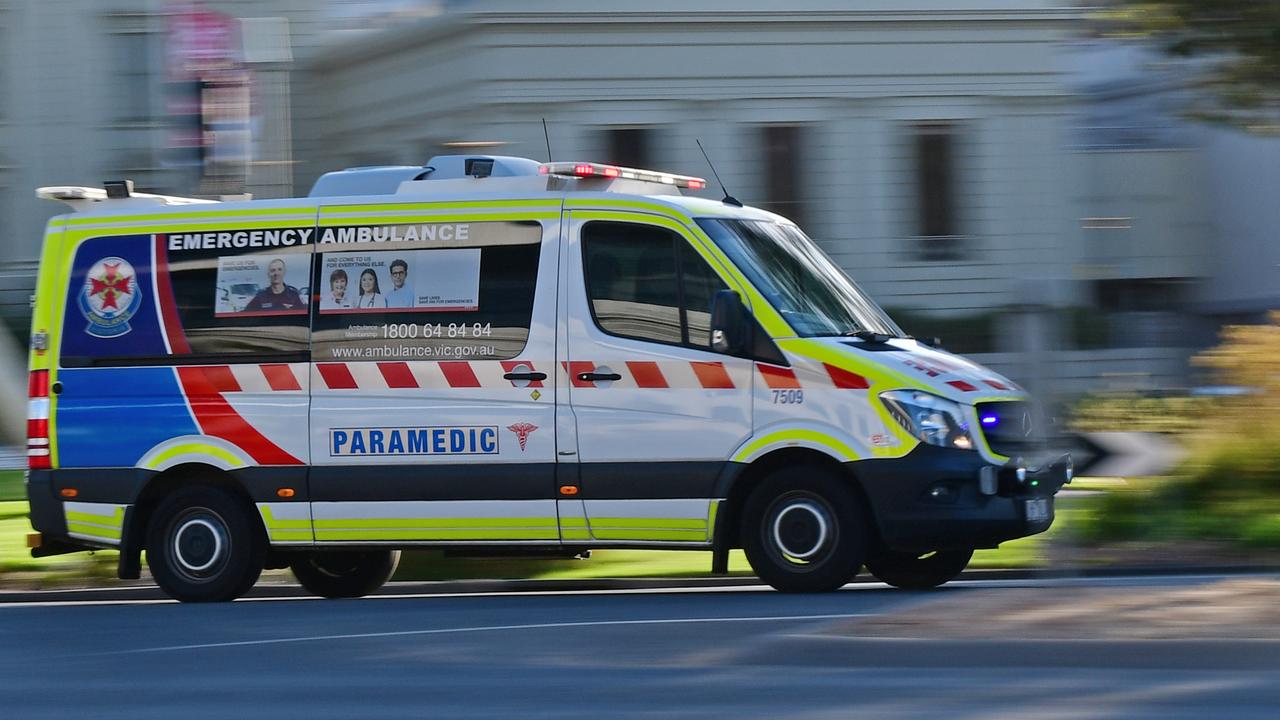 Wangaratta dog attack: woman in hospital over suspected attack | Herald Sun