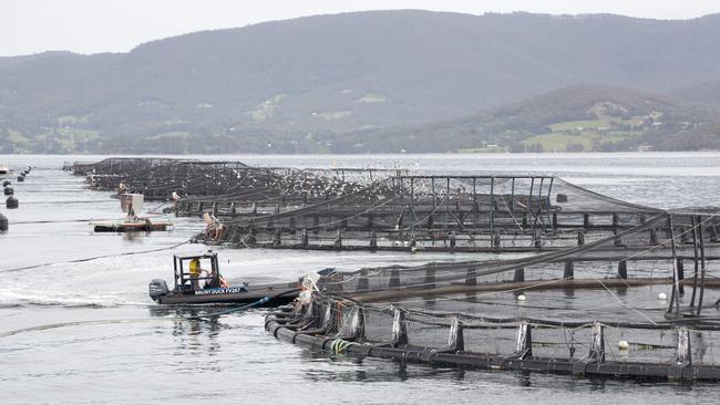 Tassal salmon farm sea pens at Roberts Point on Bruny Island, Tasmania. Picture: Peter Mathew