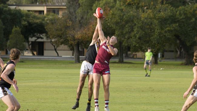 Prince Alfred Old Collegians' Hugo Kelly battles in the ruck against Brighton. Picture: Mason Parker