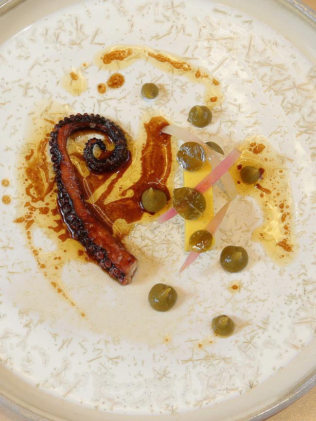 Octopus with fava.