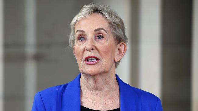 Queensland Finance and Trade MInister Ros Bates. Picture: Tertius Pickard