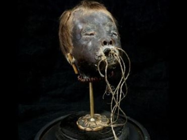 A shrunken head of a child sold by the SkullStore. Picture: Skullstore.ca