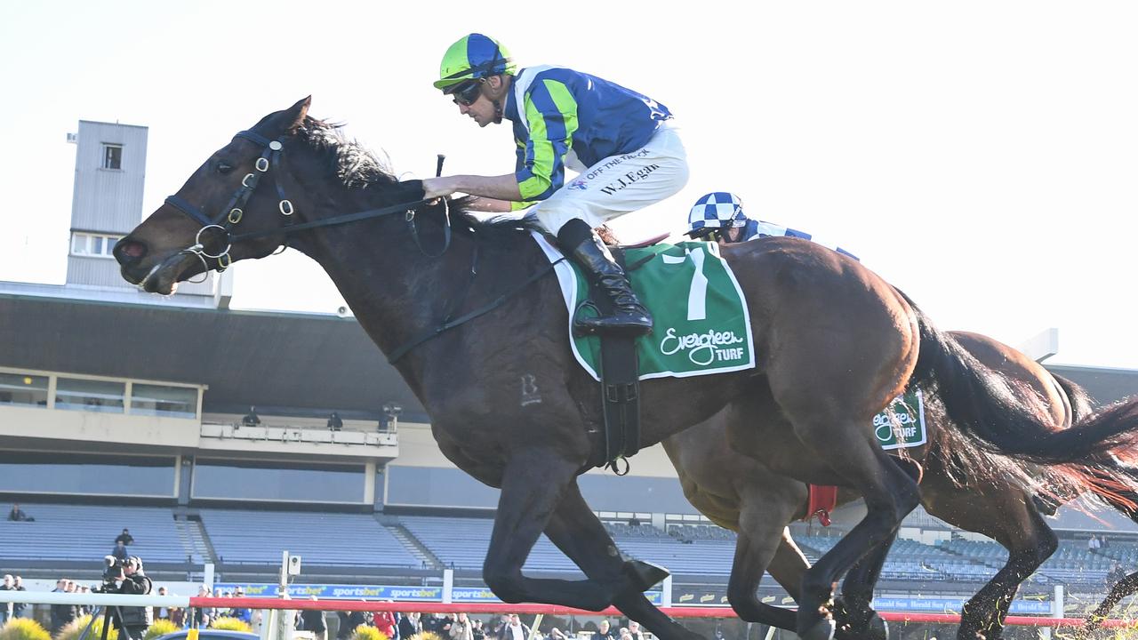 Roadie will be near peak fitness when she steps out over 1800m at Flemington on Friday. Picture: Racing Photos via Getty Images