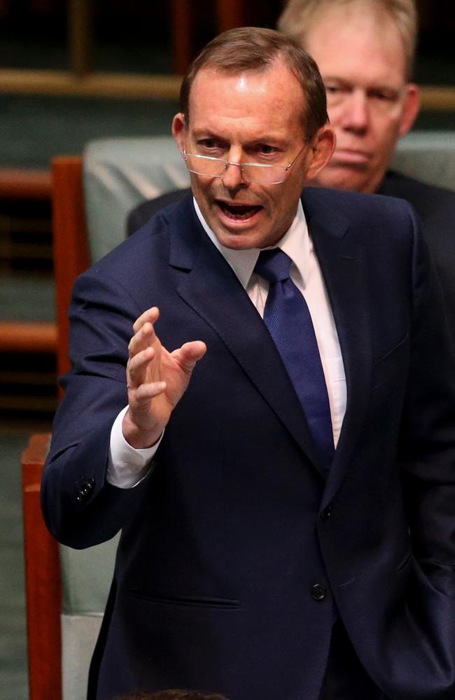 Tony Abbott has embraced the policy direction of the Outsiders juggernaut, says Mark Latham. Picture: AAP