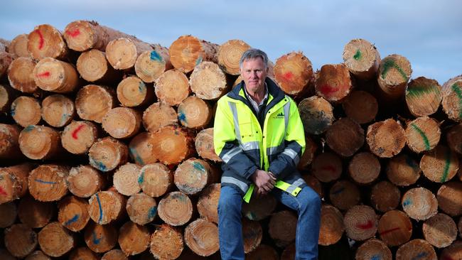 Green Triangle Forest Industries Hub chair Ian McDonnell. Picture: Tait Schmaal