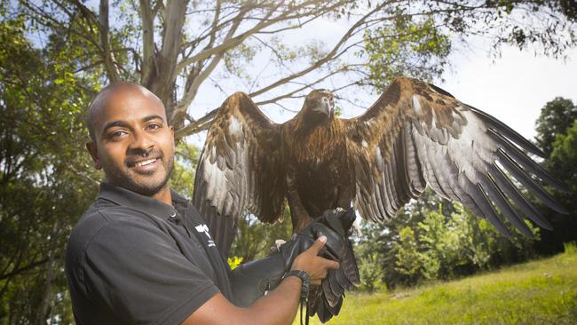 Ravi Wasan with Griffin the wedge-tailed eagle. Picture: MELVYN KNIPE