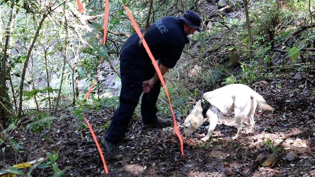 Police searching bushland in the Illawarra last week looking for clues to solve the cold case of missing woman Pauline Sowry. Picture: NSW Police