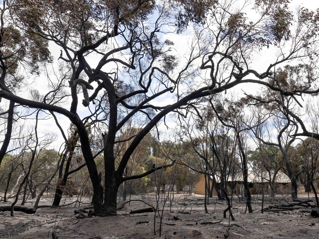 Victoria bushfire: Grampians residents urged to leave immediately amid ...