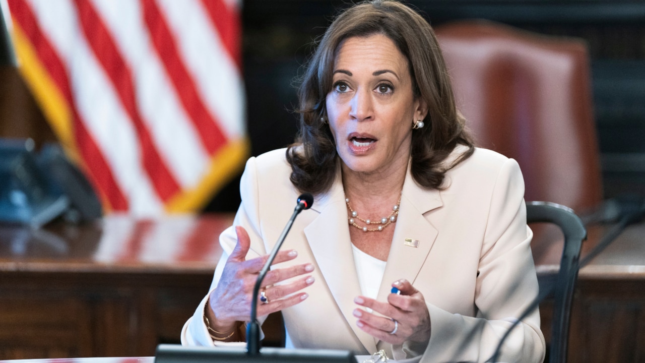 ‘Hang on, that is communism’: Kamala Harris’ equity speech a ‘hard no’