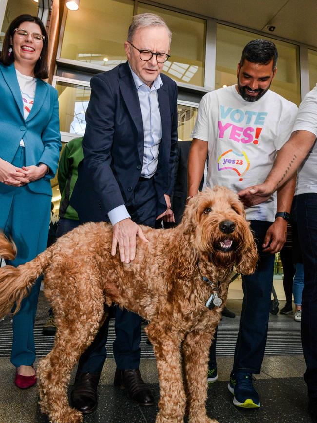 Eddie was the guest of honour when Prime Minister, Anthony Albanese visited The Parade in October. Picture: NCA NewsWire / Brenton Edwards