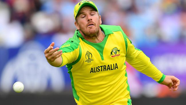 Aaron Finch admits he and other senior players failed to delivery in Australia’s semi-final loss.