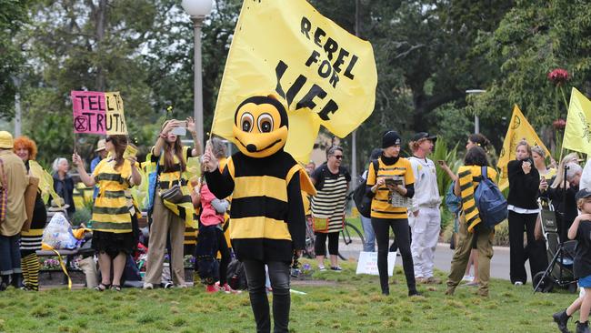 Creating a buzz: Undercover bee Mitchell Van Homrigh. Picture: Richard Dobson