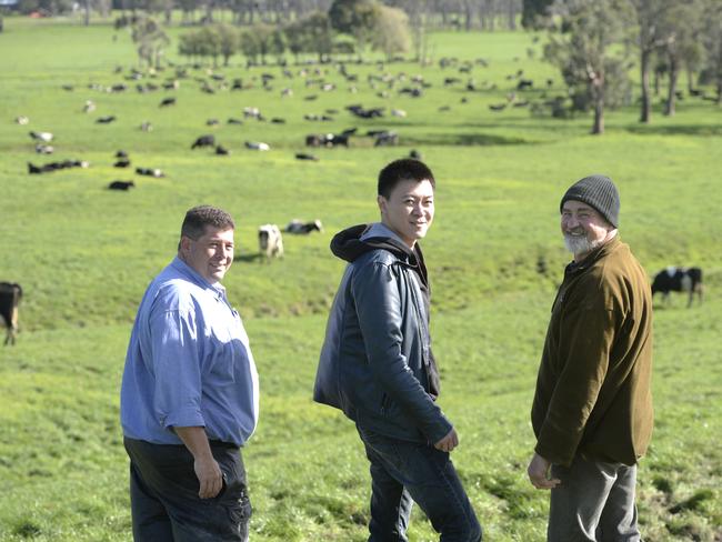 DFP Australia general manager Roy Wang at the Poowong Farm with farm consultant Matt Hall and farm business manager Phil Good.
