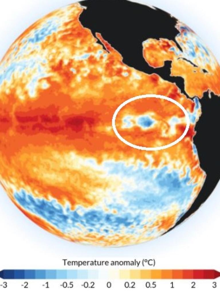 But now a tongue of cooler air is forming which is more like La Nina. Picture: NOAA