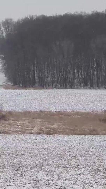 Light Snow Falls in Wisconsin's Fox Valley on New Year's Day