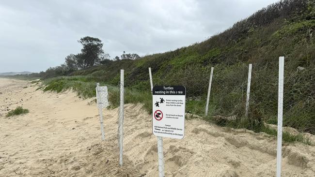 BEFORE: Signs erected at Corindi Beach notifying beach goers of the nest.