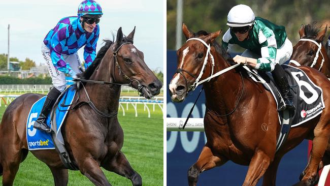 Pride Of Jenni (left) is eyeing off another showdown with horse of the year elect Via Sistina (right) … but first, the Australian Cup looms. Pictures: Racing Photos, Getty Images