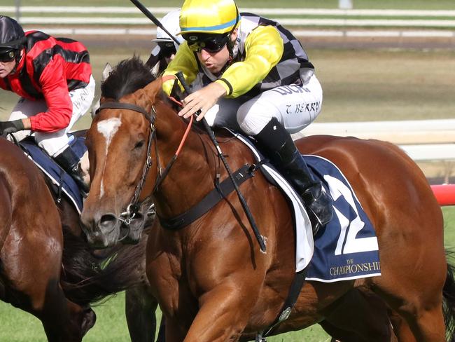 The Country Championship at Scone Race Club 21st February 2016. Country Championship winner Clearly Innocent ridden by Tommy Berry (yellow selves and hat).