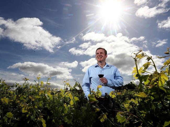 19/10/16 - Treasury Wine Estates Australia & New Zealand Managing Director Angus McPherson at Penfolds Magil Estate Winery Picture Simon Cross