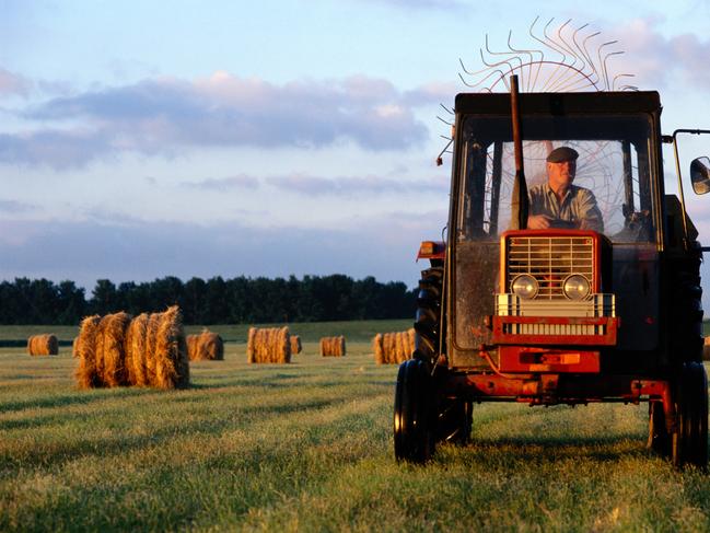 Farmer should not worry, as their crops aren’t affected by it. Picture: Thinkstock