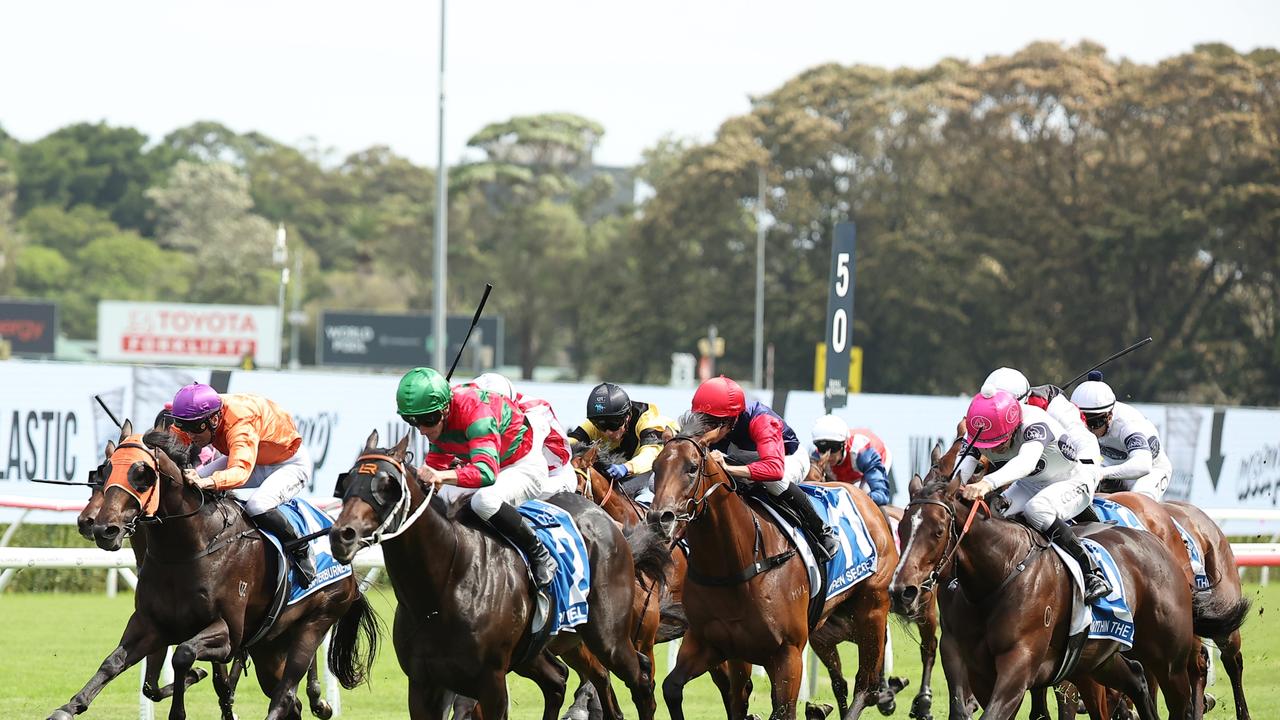 Mitch Cohen's Expert Picks: Top 5 Horses to Watch from Inglis Millennium Day