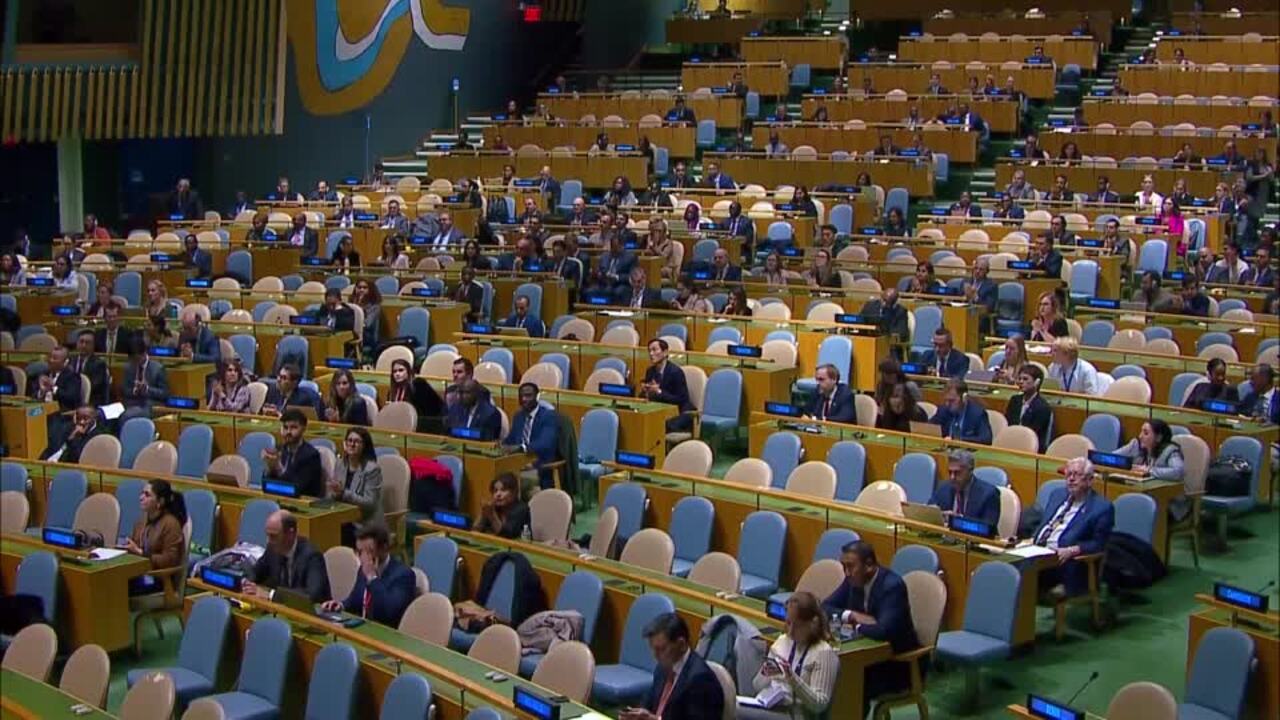 UN General Assembly votes overwhelmingly for Gaza ceasefire