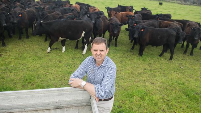 Nick McBride, who is a Liberal MP, is part of one of the largest agricultural families in SA. Pictured at his farm in Conmurra. Picture: Tom Huntley