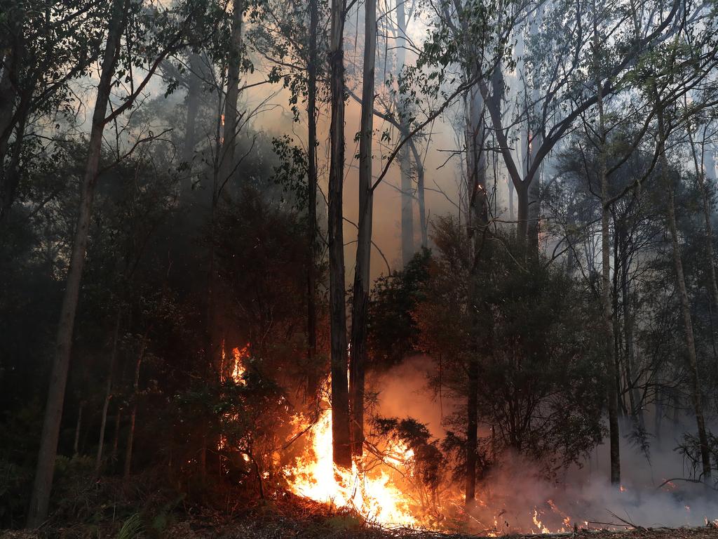 January 2019 Tasmanian Bushfires. Spot fire on Arve Rd near Geeveston in the Huon Valley. Picture: NIKKI DAVIS-JONES