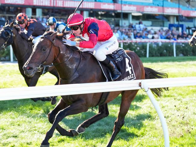 Schwarz ridden by Jamie Mott wins the 3 Point Motors William Reid Stakes at Moonee Valley Racecourse on March 22, 2025 in Moonee Ponds, Australia. (Photo by Scott Barbour/Racing Photos via Getty Images)