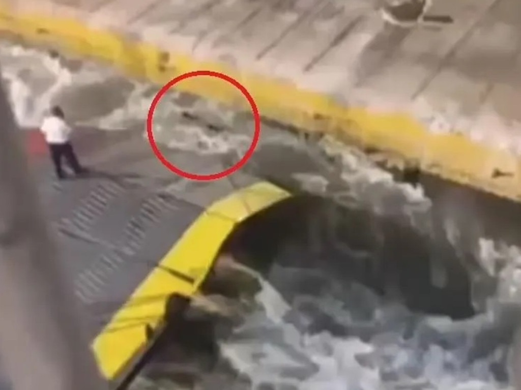Greece ferry passenger dies after being pushed off ramp by crewman. Picture: @kakajason50/Twitter