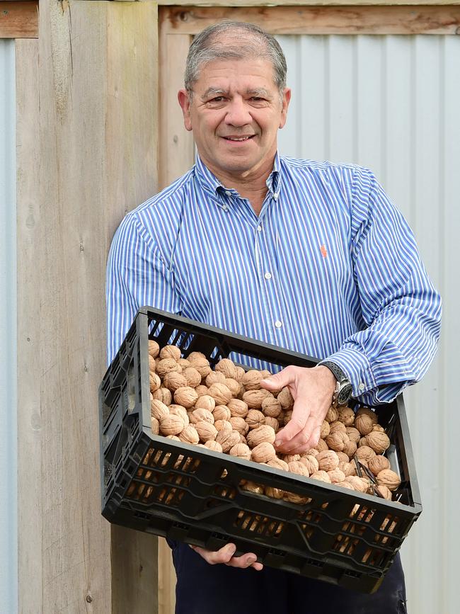 Mark Jankelson of Husk and Harvest Walnuts. Picture: Zoe Phillips