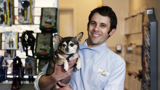 Waverley Animal Hospital vet Dr Robbie Anderton. Picture: Paul Loughnan