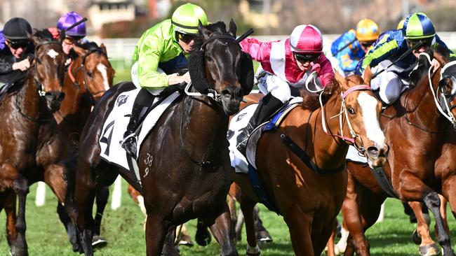 Amenable wins at Caulfield last August.