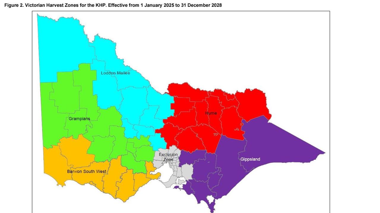 Allan Government releases 2024 Victorian kangaroo cull quota details ...