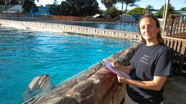 Dr. Isabella Clegg at Dolphin Marine Conservation Park. Picture: TREVOR VEALE