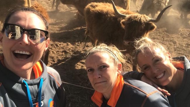 Giants players Sam Poolman, Jo Harten and Kim Green with a miniature cow which is a retirement gift for Susan Pettitt.